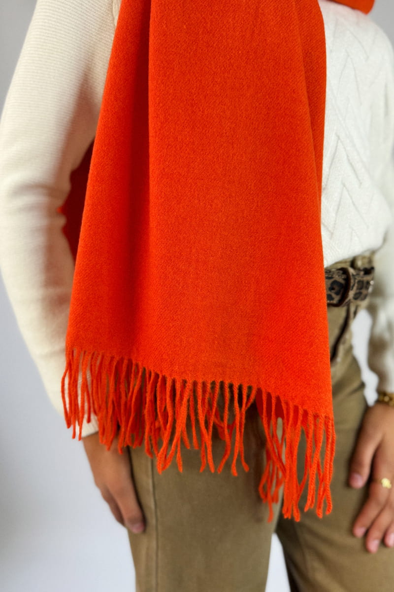 clementine 209 H25 2